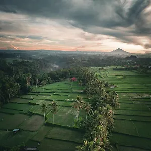 3* Gasthuis Ayu Duwur Beji